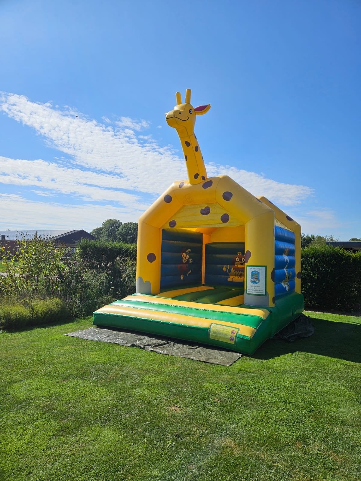 Te huur springkussen Giraffe - Plezier voor kinderfeestje!, Ophalen, Zo goed als nieuw