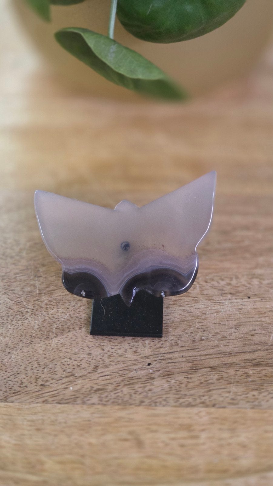Agaat vlinder 5 x 6 cm, Ophalen of Verzenden