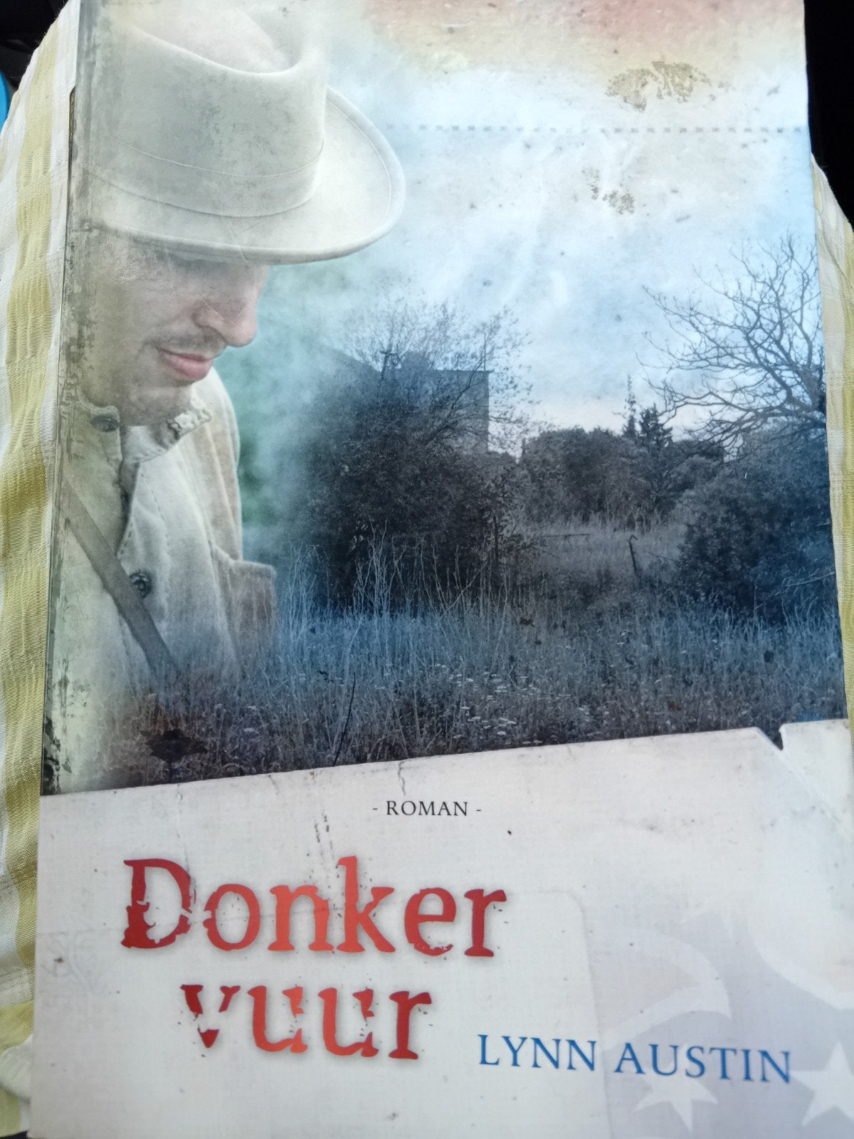 Donker Vuur - Lynn Austin (Roman), Boeken, Ophalen of Verzenden, Gelezen, Lynn Austin, Amerika