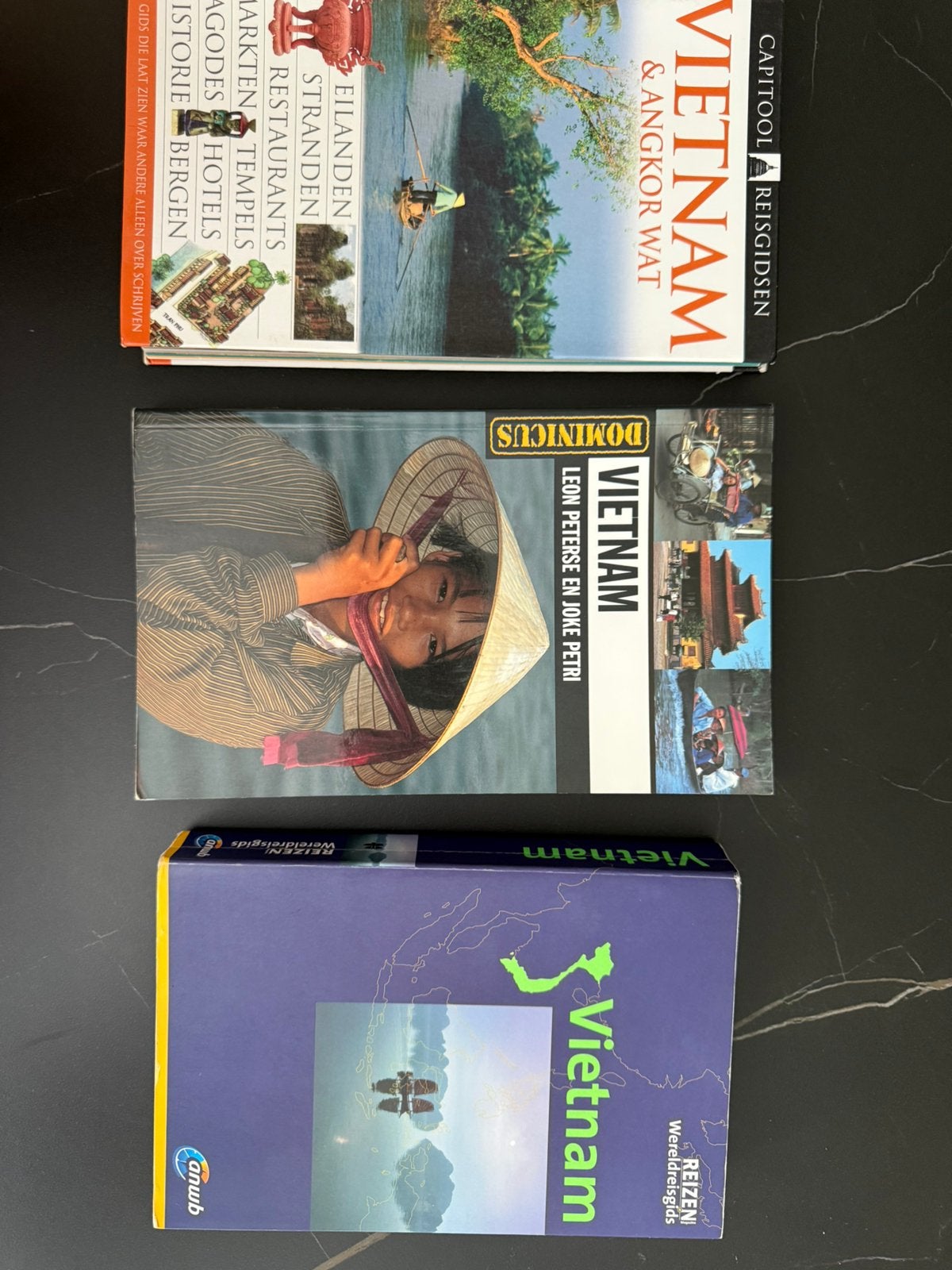 Reisgidsen Vietnam, Boeken, Capitool, Reisgids of -boek, Azië, Ophalen