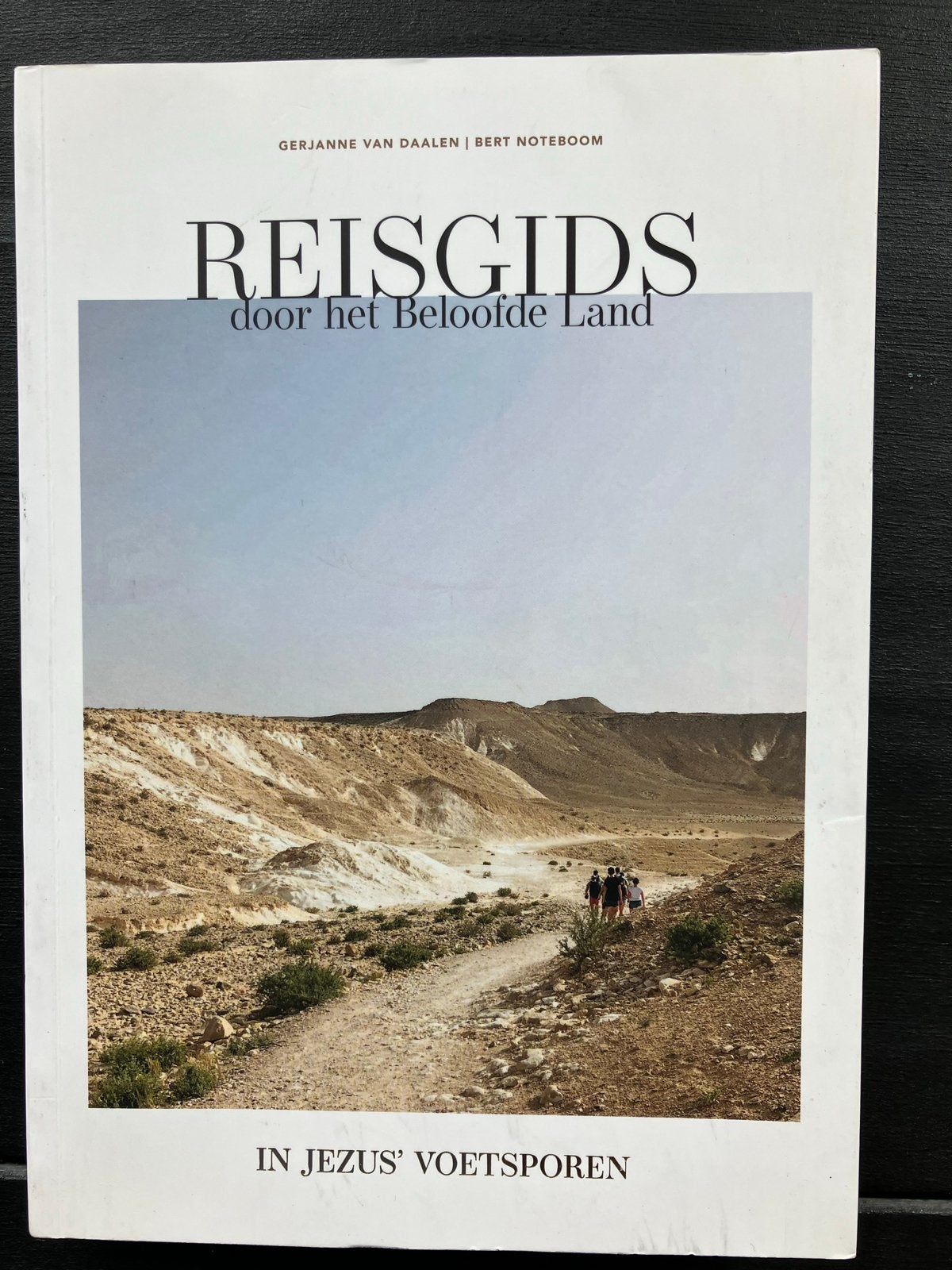 Reisgids door het Beloofde Land - In Jezus' Voetsporen, Overige merken, Ophalen of Verzenden, Zo goed als nieuw, Reisgids of -boek