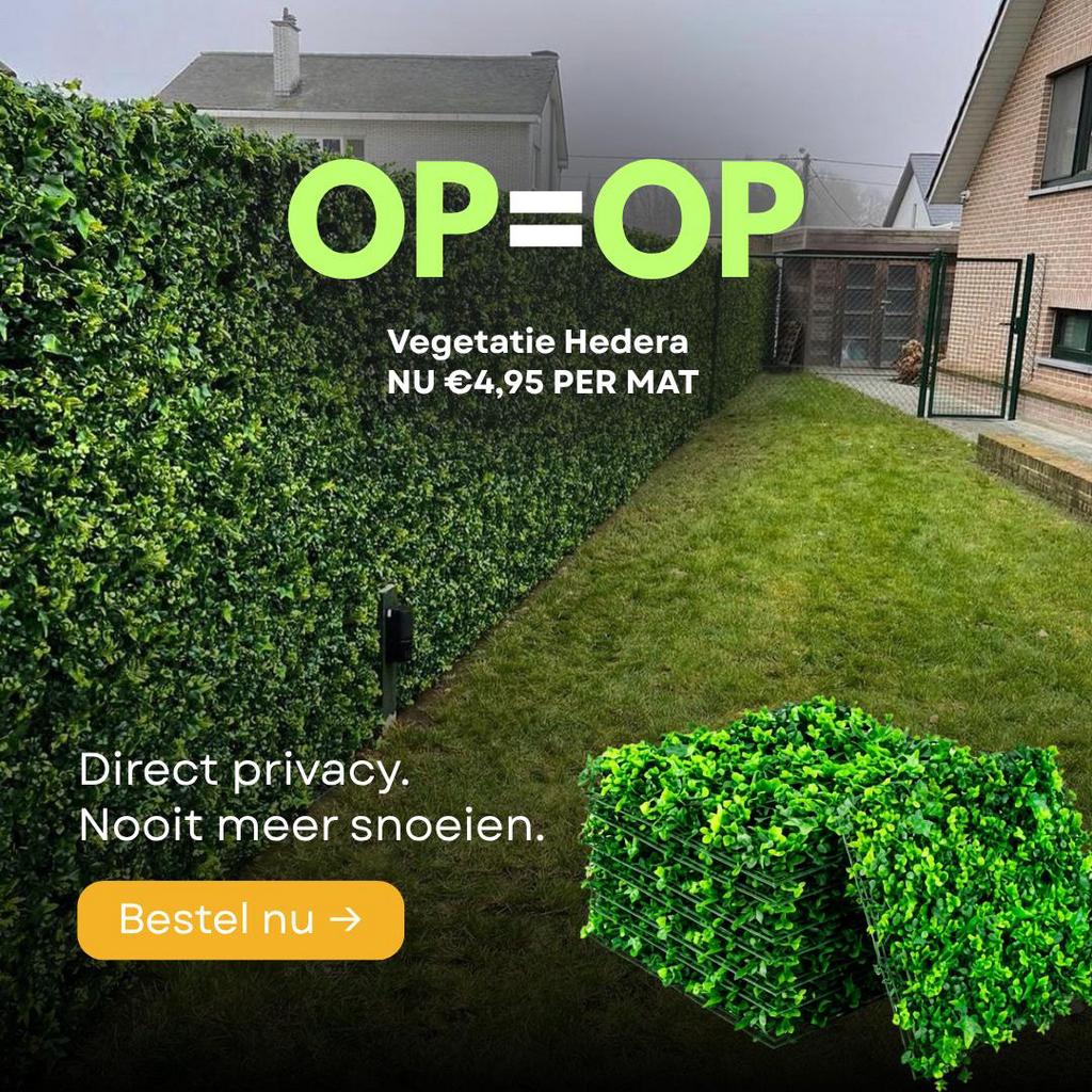 🌿 hedera partij uitverkocht ❌, Tuin en Terras, Gras en Kunstgras, Ophalen of Verzenden, Nieuw, Minder dan 10 m²