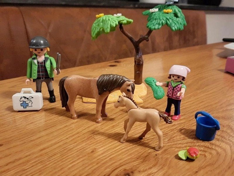 Playmobil Country Dierenarts Met Pony's - 6949, Complete set, Overige typen, Ophalen of Verzenden, Zo goed als nieuw