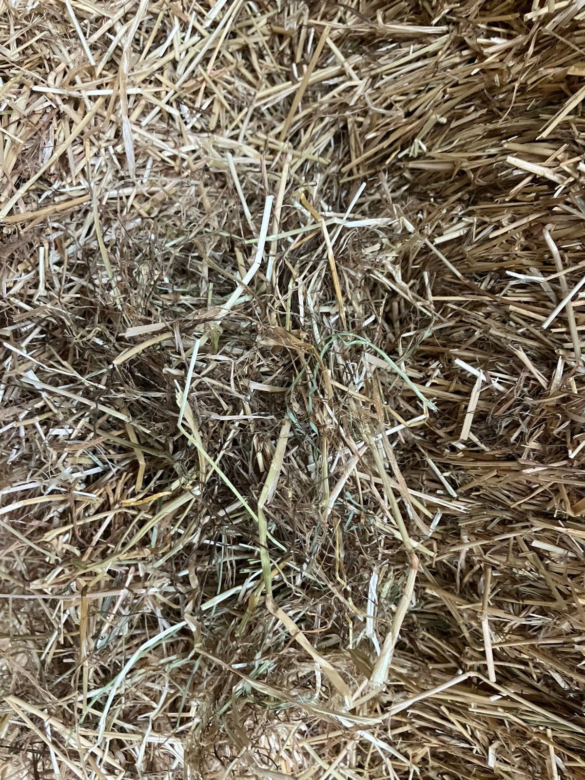 Graszaadhooi, Dieren en Toebehoren, Dierenvoeding, Ophalen of Verzenden, Vee