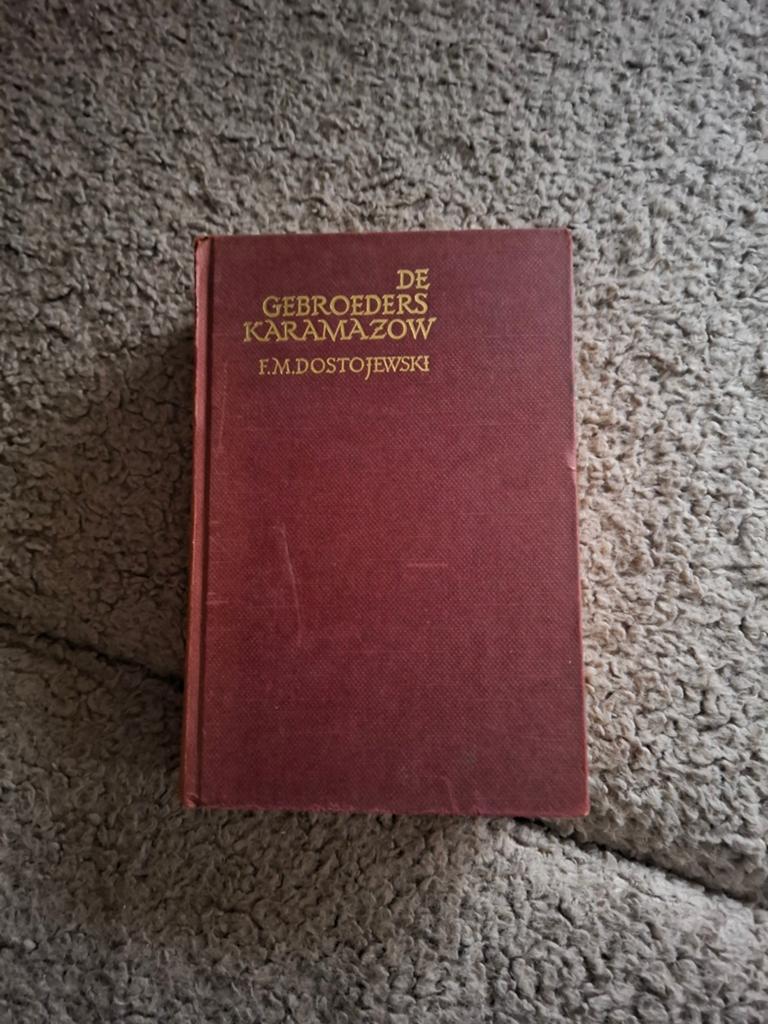 F.M. Dostojewski De gebroeders Karamazow, Boeken, Ophalen of Verzenden, Overige uitgevers