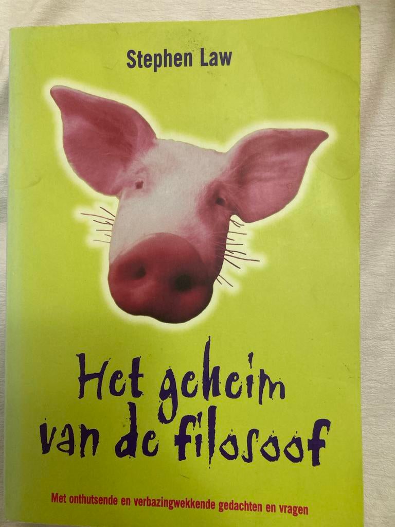 Het Geheim van de Filosoof - Stephen Law (Filosofie Boek), Ophalen of Verzenden, Zo goed als nieuw, Praktische filosofie
