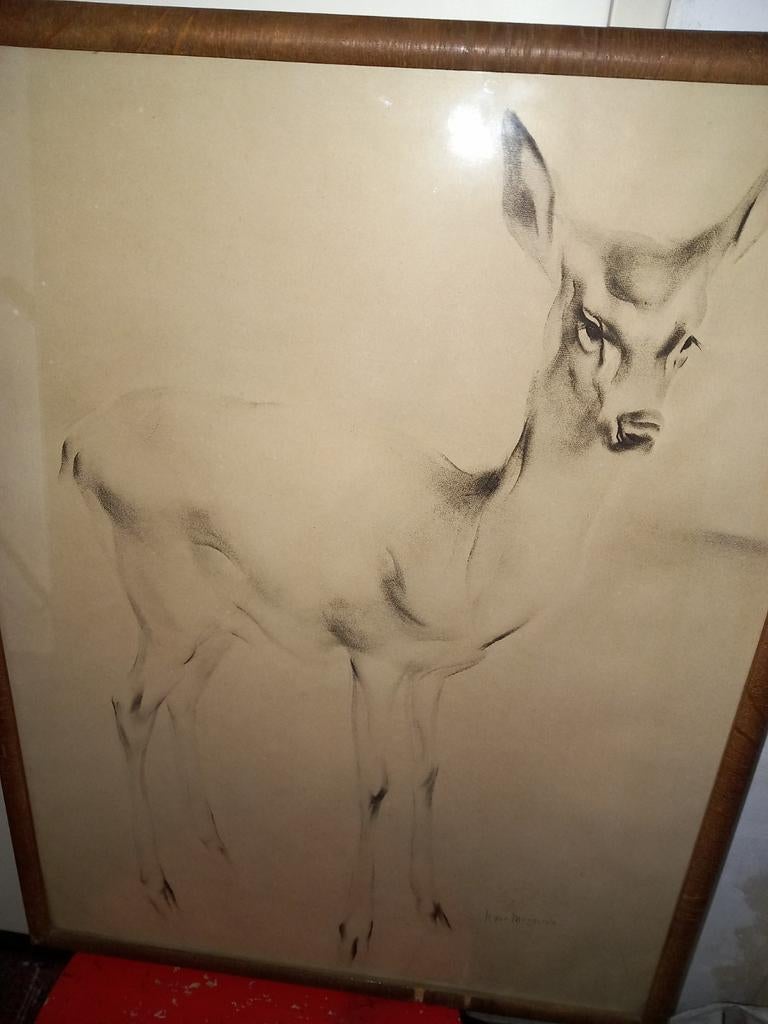 Tekening van hert, groot, Ophalen of Verzenden