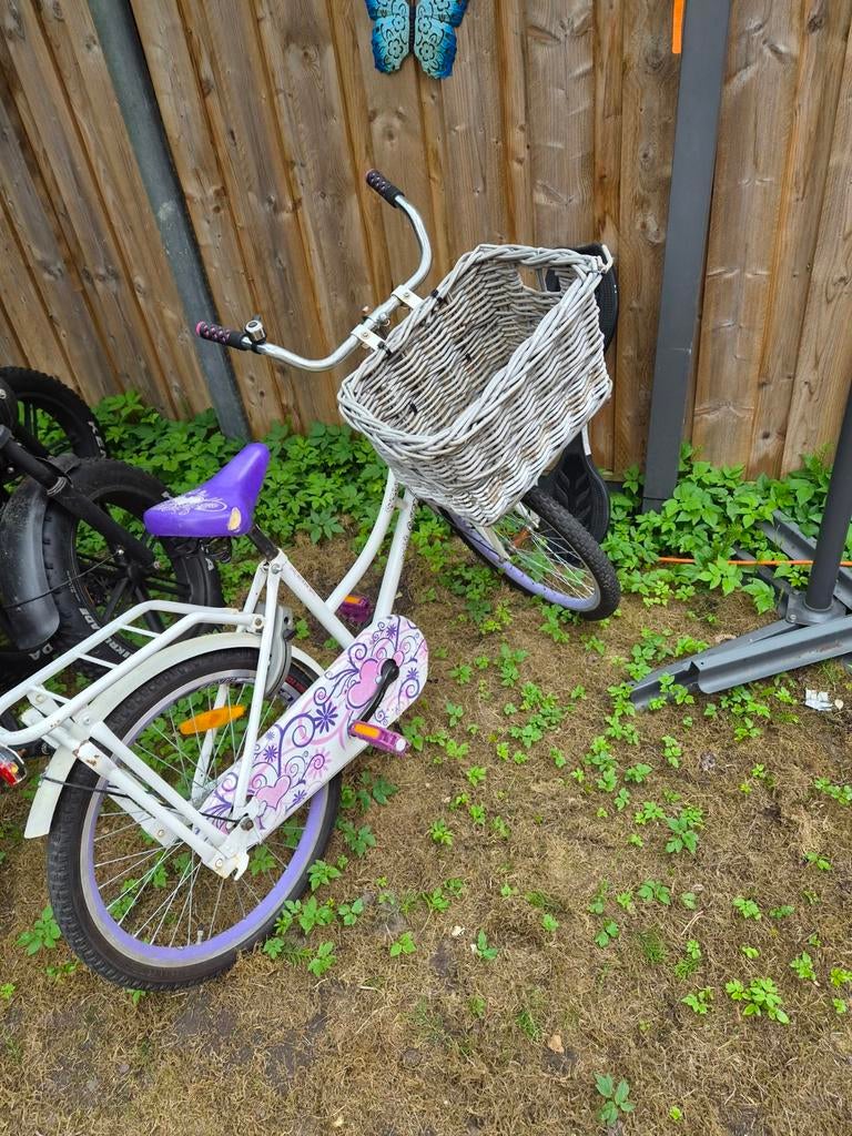 meisjes fiets, Ophalen, Gebruikt, Terugtraprem, 22 inch