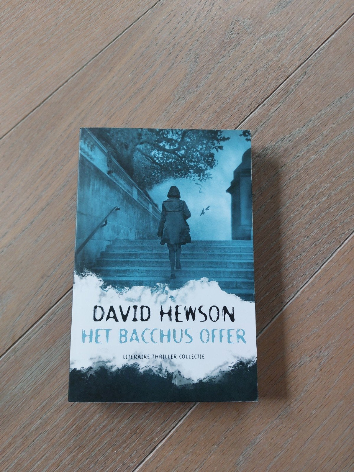 David Hewson - Het Bacchus offer, Ophalen of Verzenden, Zo goed als nieuw, David Hewson