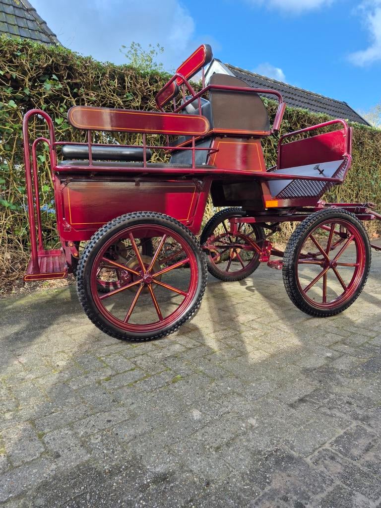 Prachtige Jannes vd Wal wagen, Marathonwagen, Paard
