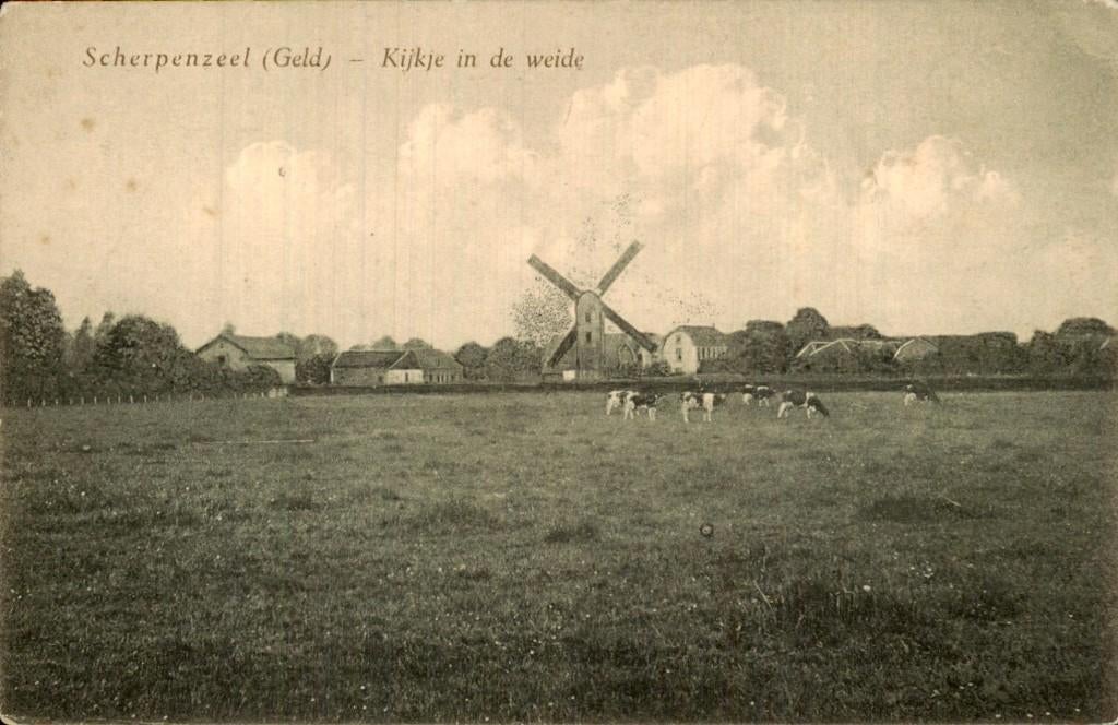 Scherpenzeel - Weide - Kijkje in de weide, Ophalen of Verzenden, Voor 1920, Ongelopen, Gelderland