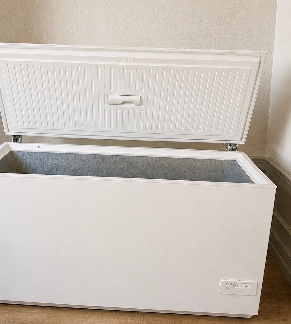 Zanussi Vrieskist - Werkt perfect - Ophalen Den Haag, Witgoed en Apparatuur, Vrieskist, Gebruikt, Vrijstaand, 90 cm of meer
