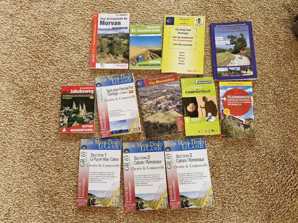 Camino Francais Santiago de Compostella pelgrimsreis, Boeken, Europa, Reisgids of -boek, Diverse auteurs-uitgevers, Ophalen