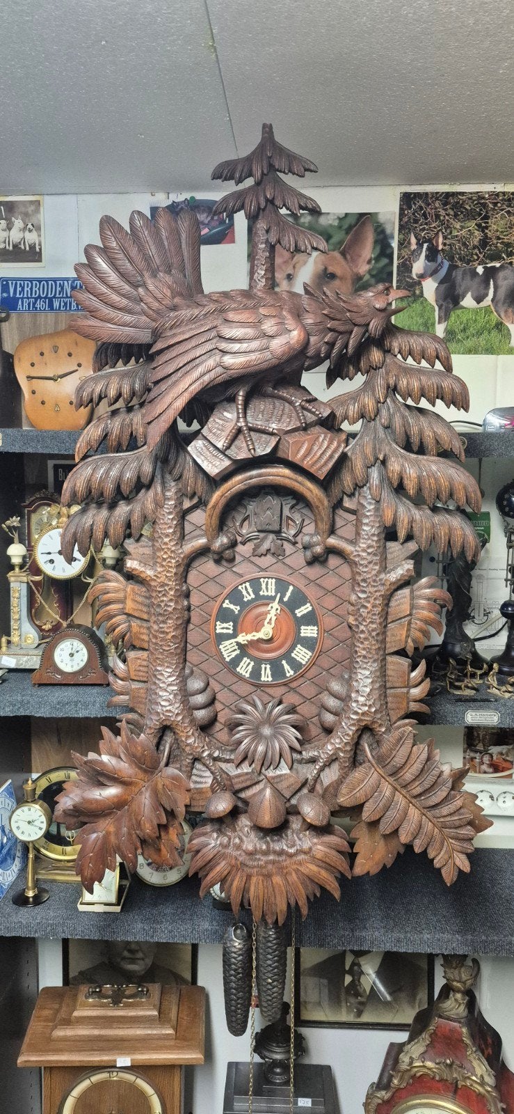 grote koekoeksklok 105x55 cm, Ophalen
