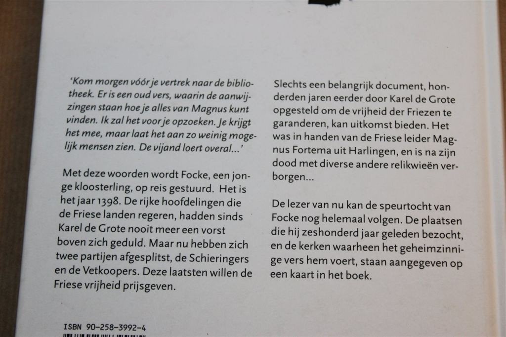 Focke en het Geheim van Magnus — Historisch Verhaal Friezen, Ophalen of Verzenden, Gelezen