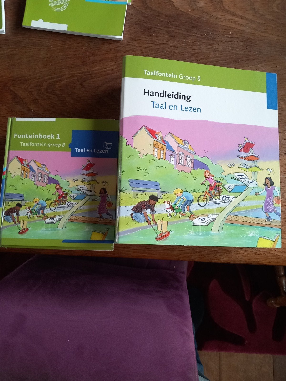 Taalfontein Groep 8: Font. 1 en Handleiding Taal en Lez, Ophalen of Verzenden, Zo goed als nieuw, Overige niveaus, Nederlands