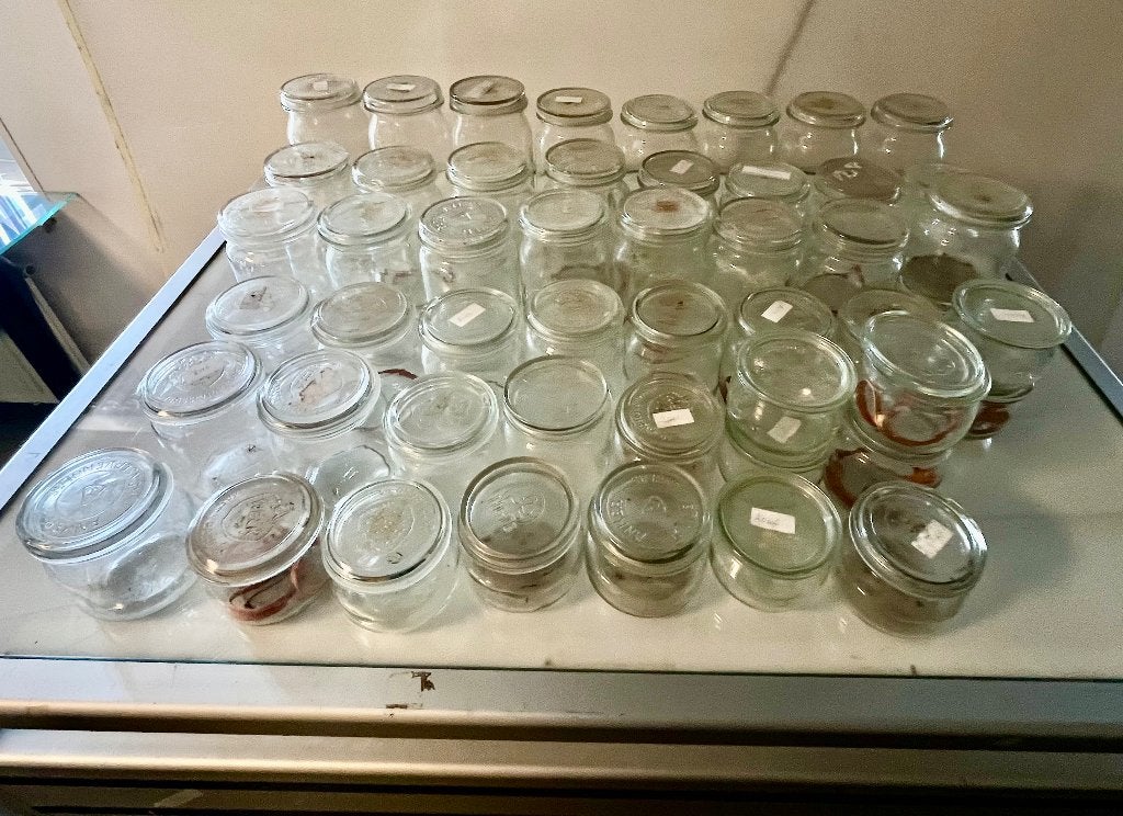 Weckpotten, Ophalen, Overige merken, Glas, Overige typen