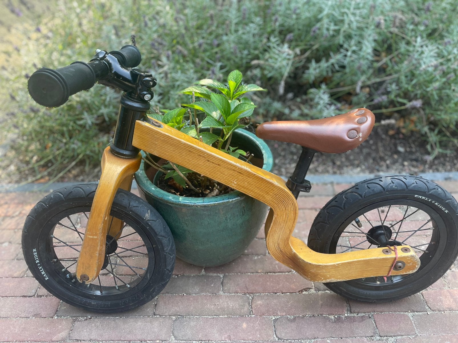 Early rider Bonsai - houten loopfiets, Ophalen, Gebruikt, Loopfiets