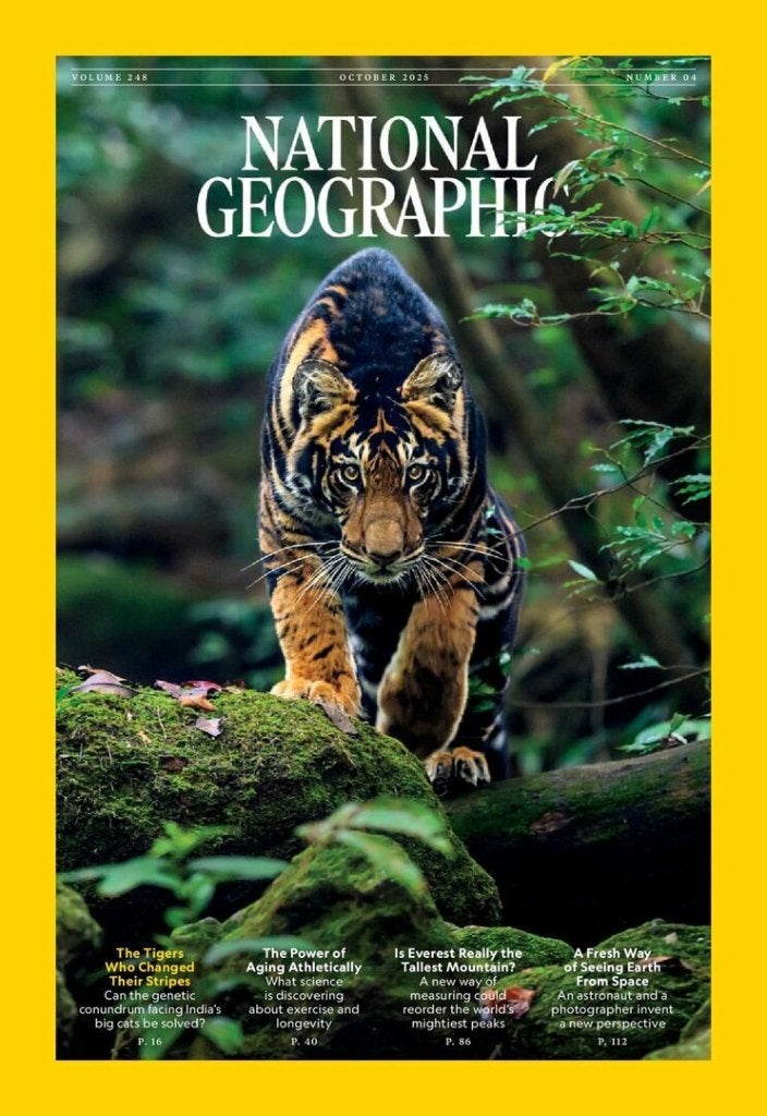 National Geographic, tijdschrift Engelstalig, 1966-2024, Ophalen, 1980 tot heden, Buitenland, Tijdschrift