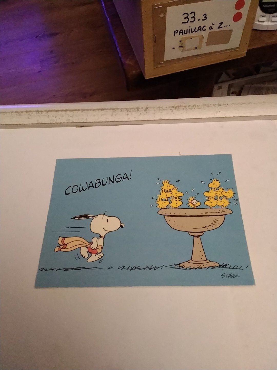 Vintage Snoopy Ansichtkaart - Cowabunga! (Hallmark), Verzamelen, Ophalen of Verzenden