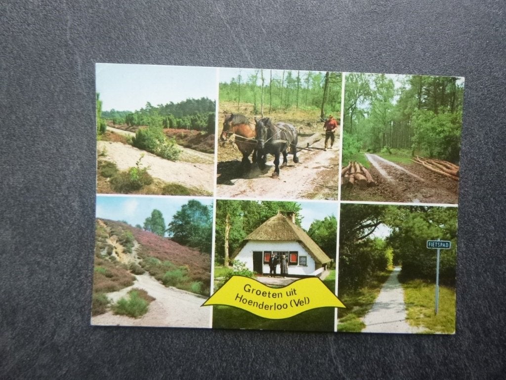 groeten uit Hoenderloo, bos/paarden 1976, Verzenden, 1960 tot 1980, Gelopen, Drenthe