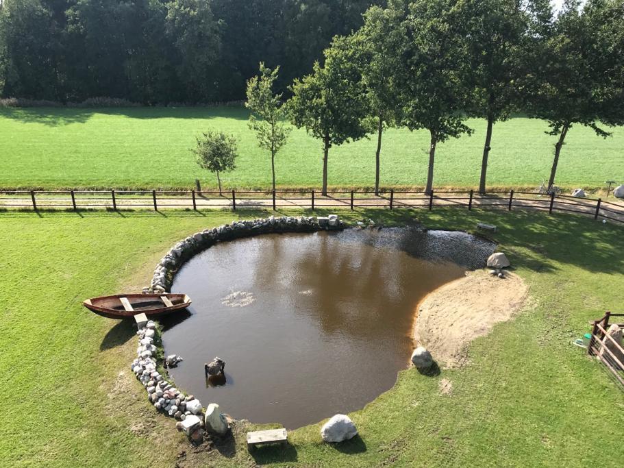 Grote vijver voor overtollige vijvervissen., Overige soorten