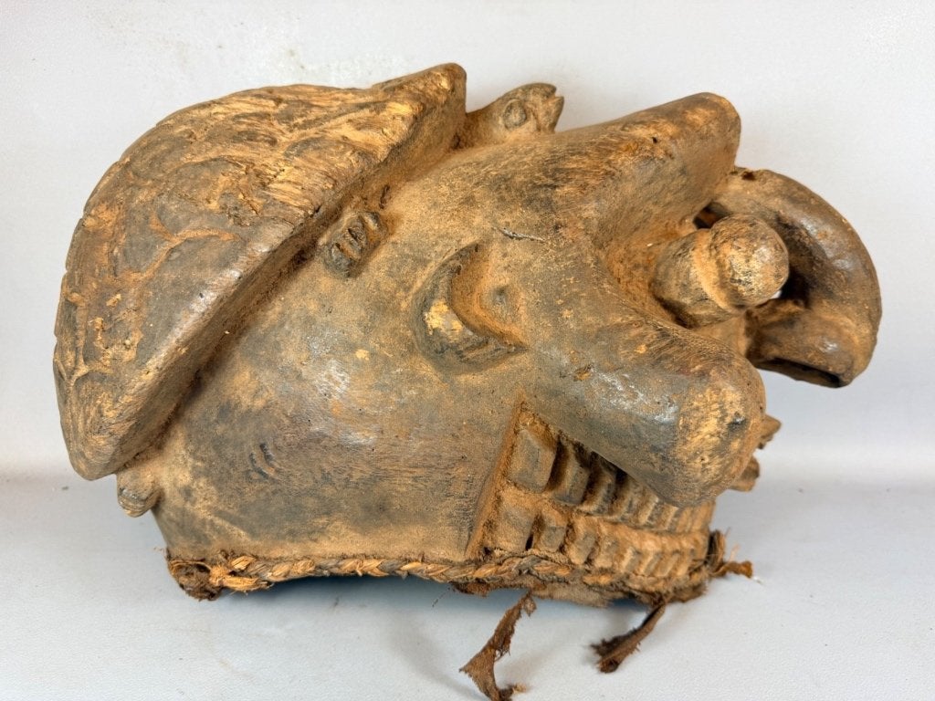 260892 - Very Old Afrikaans Mambila Turtle helm masker, Ophalen of Verzenden