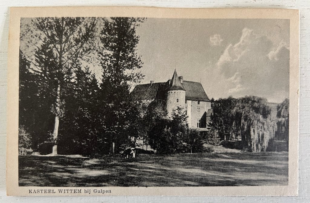 Oude Ansichtkaart - Gulpen - Kasteel Wittem, Ophalen of Verzenden, Voor 1920, Ongelopen, Limburg