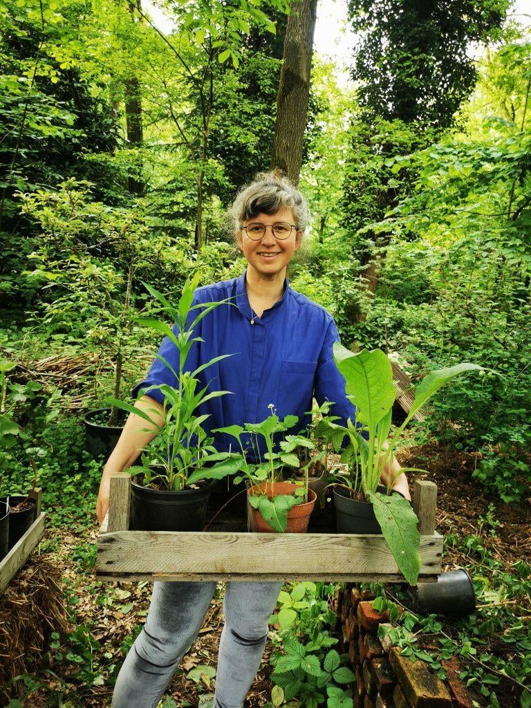 Voedselbos kweker van EetbaarGroen biedt planten aan, Ophalen, Overige soorten, Volle zon