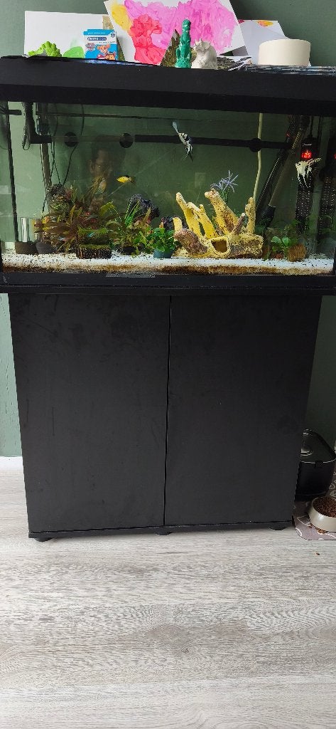 Juwel Aquarium compleet, Ophalen, Gebruikt, Gevuld zoetwateraquarium, Pomp