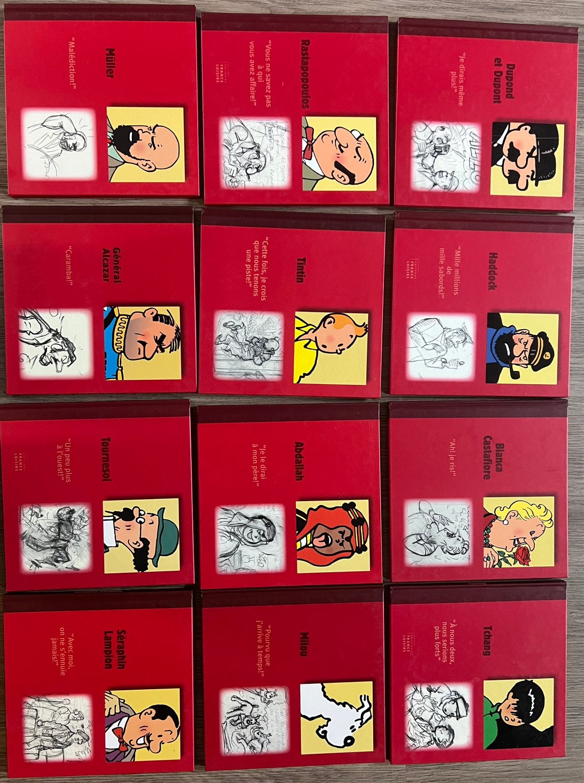 Kuifje boeken Tintin complete collectie 12 stuks, Complete serie of reeks, Ophalen of Verzenden, Zo goed als nieuw