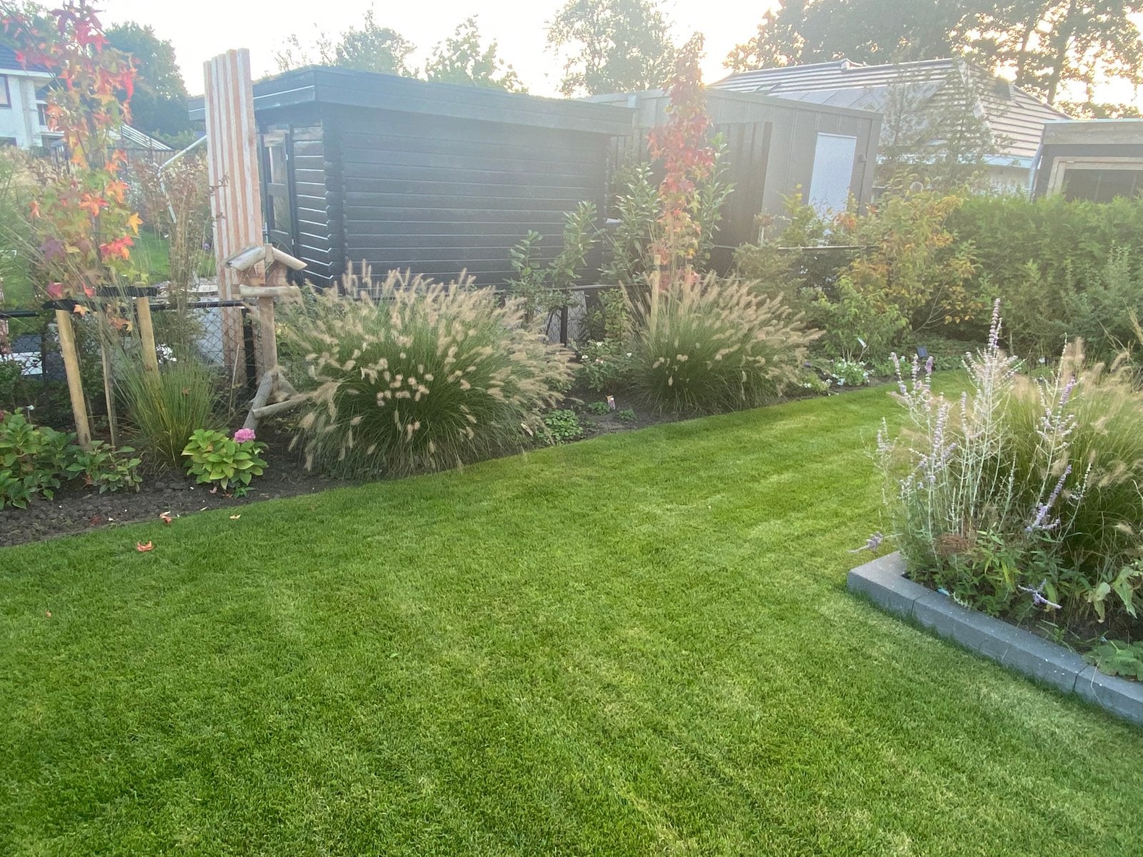 Diverse Lampenpoetsers grassen., Tuin en Terras, Ophalen of Verzenden, Zo goed als nieuw, 20 m² of meer
