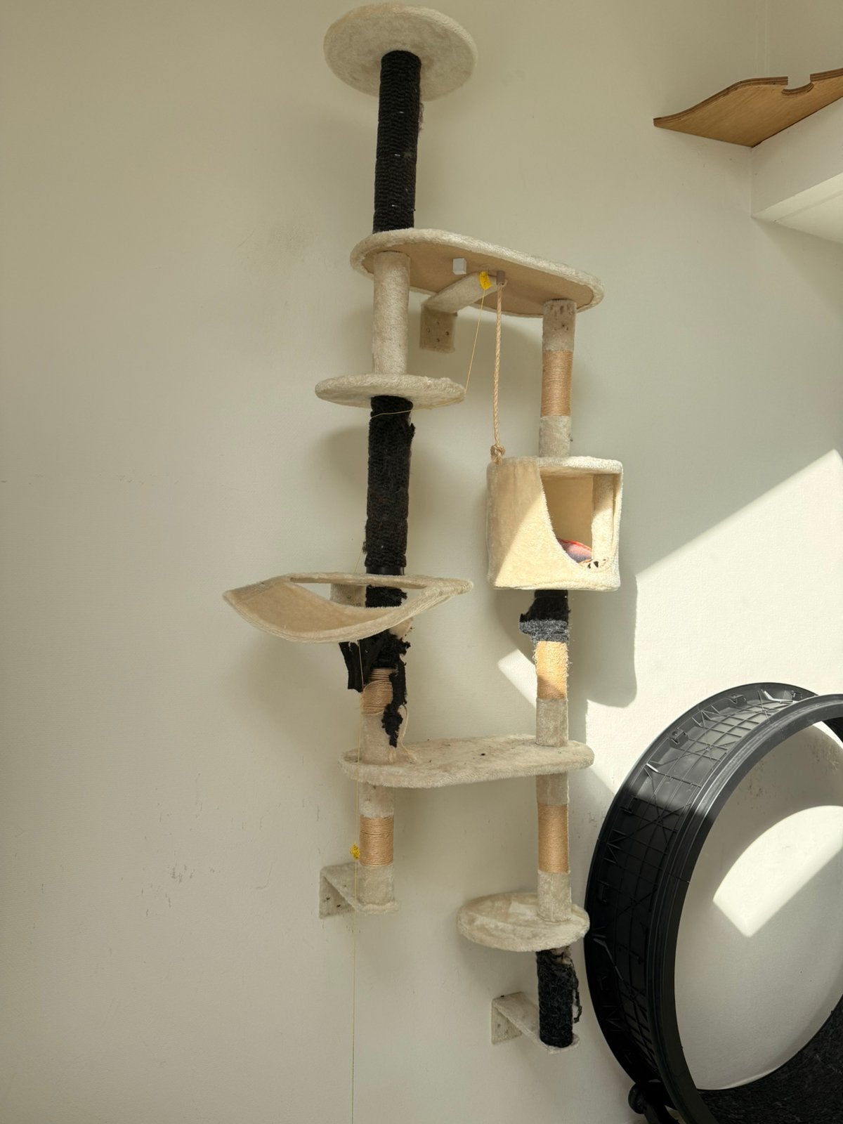 Grote Wandkrabpaal voor aan de muur/opknapper, Ophalen, Gebruikt, Krabpaal