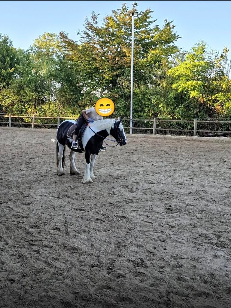 Verzorpony gezocht, Ophalen of Verzenden, Zo goed als nieuw