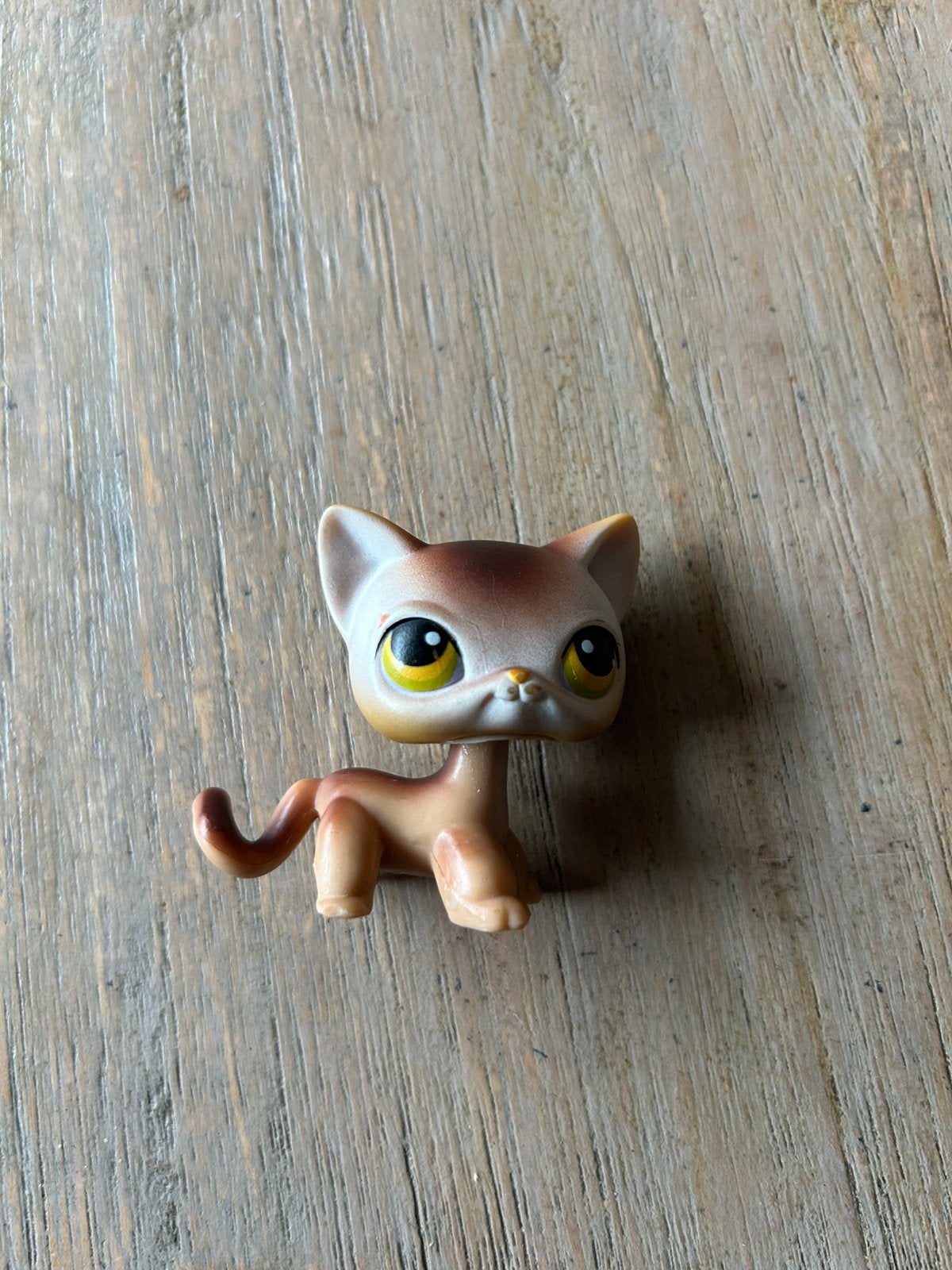Brown shorthair cat, Verzamelen, Ophalen of Verzenden, Gebruikt