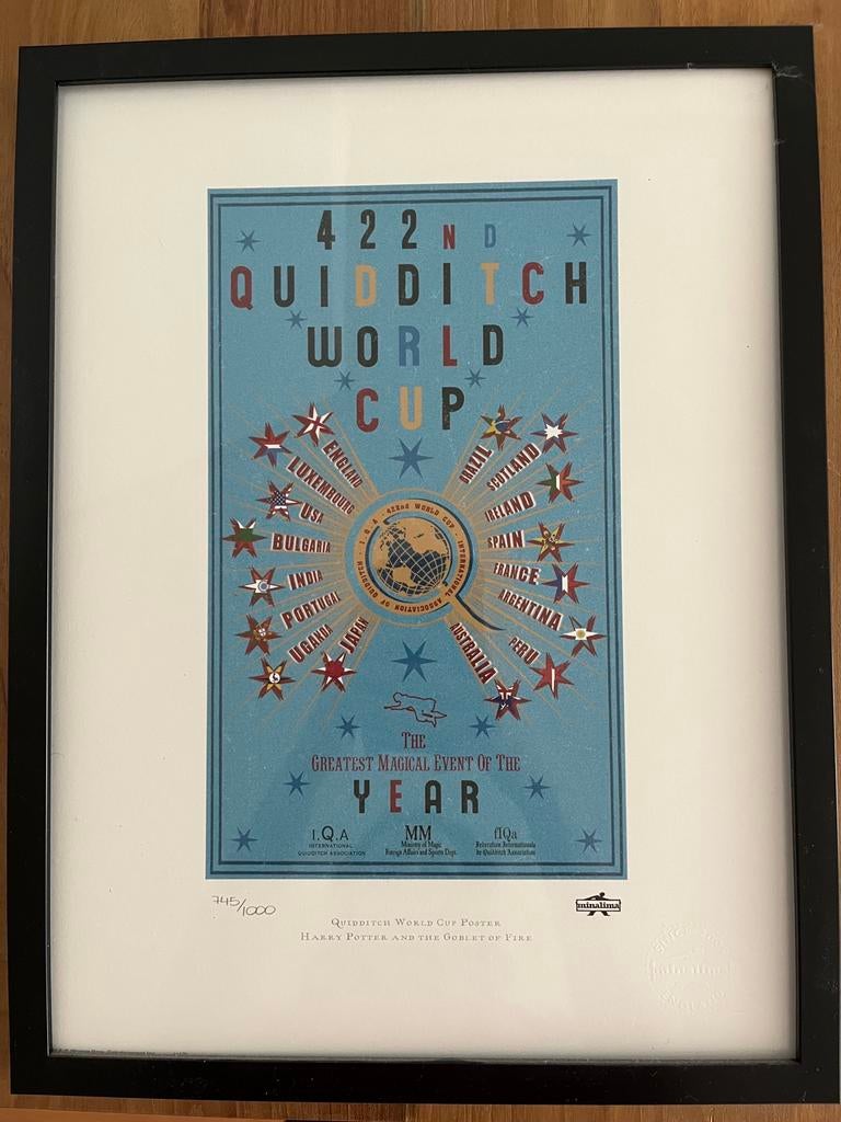 Harry Potter collectors item 422ND QUIDDITCH WORLDCUP POSTER, Ophalen of Verzenden, Nieuw, Boek of Poster