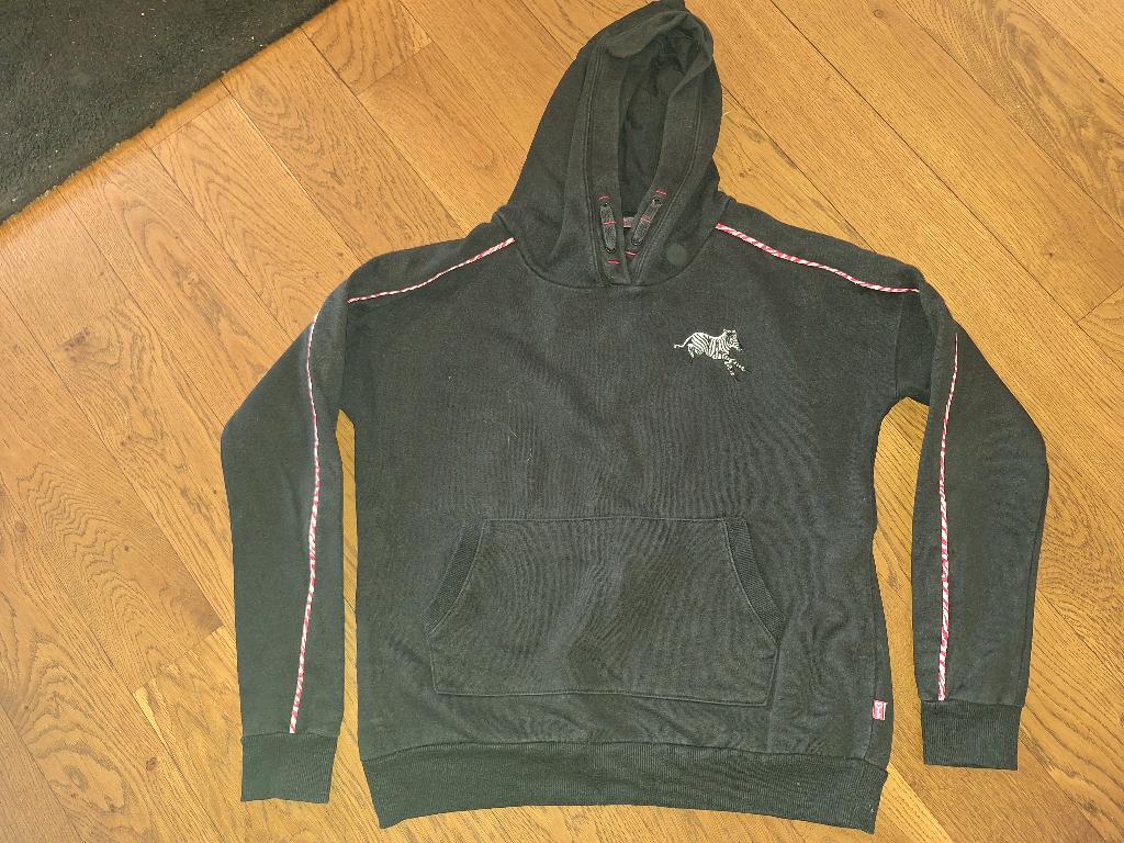 Trui / hoodie maat 158/164, Gebruikt, WE, Meisje, Trui of Vest