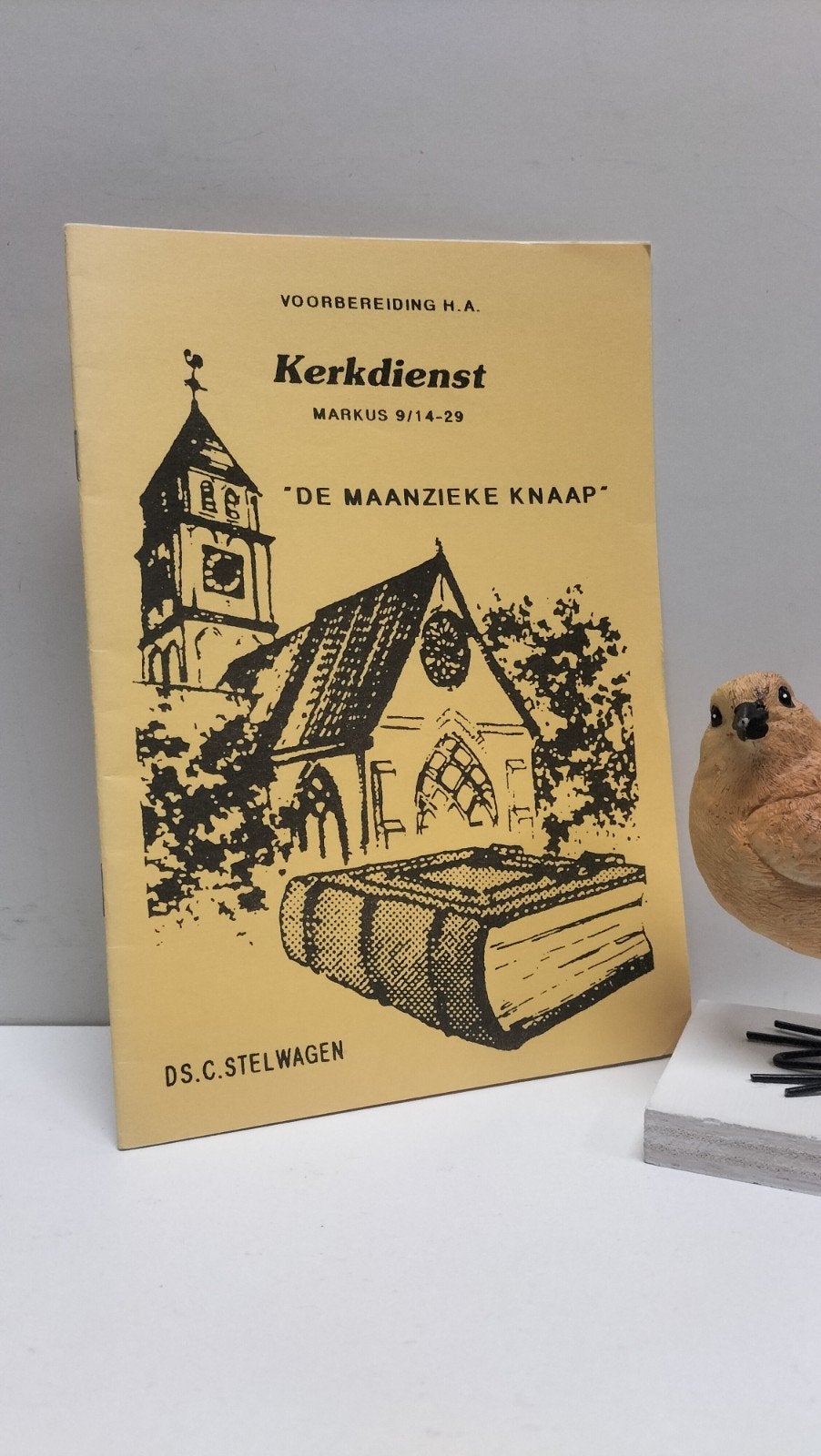 Stelwagen, Ds. C.; De maanzieke knaap, Ophalen of Verzenden, Gelezen, Christendom | Protestants