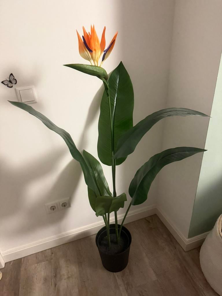 Ikea Kunstplant Paradijsvogelbloem Strelitzia, Ophalen