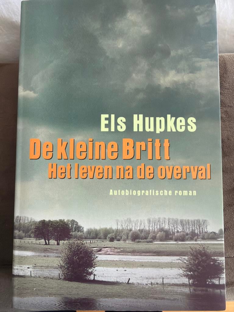 De kleine Britt: Het leven na de overval - Els Hupkes, Ophalen, Gebruikt