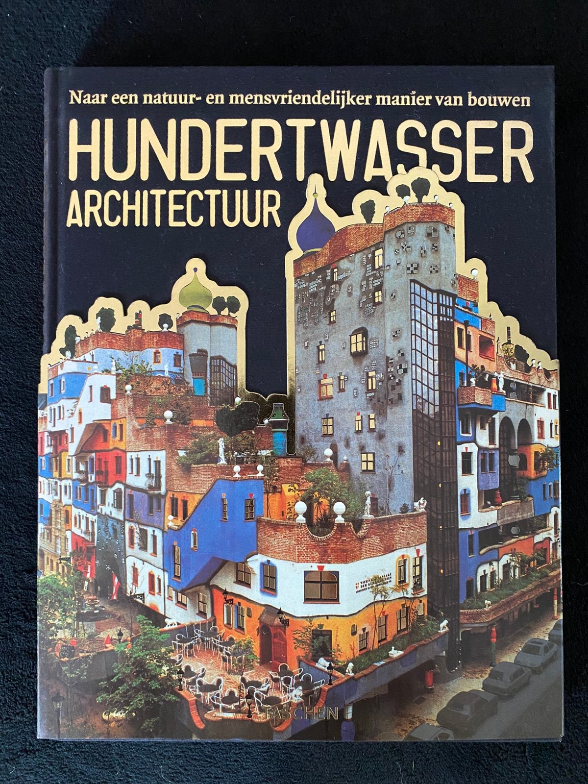 Hundertwasser - Architectuur, Boeken, Ophalen of Verzenden, Zo goed als nieuw, Architecten