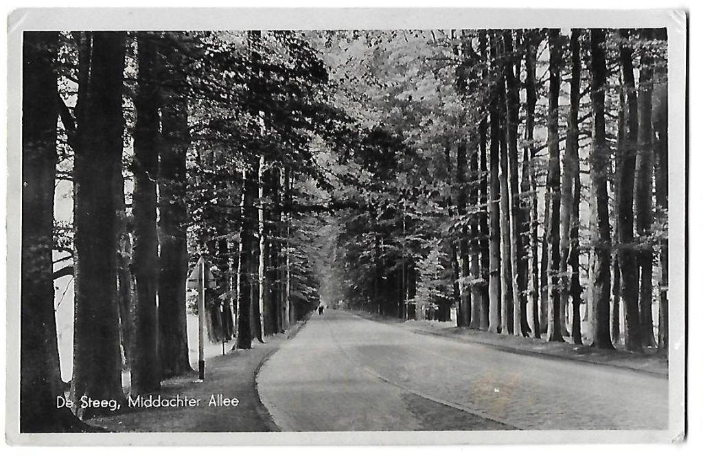 De Steeg Middachter Allee Ansichtkaart uit 1949  (B608 ), Ophalen of Verzenden, 1940 tot 1960, Gelopen, Gelderland