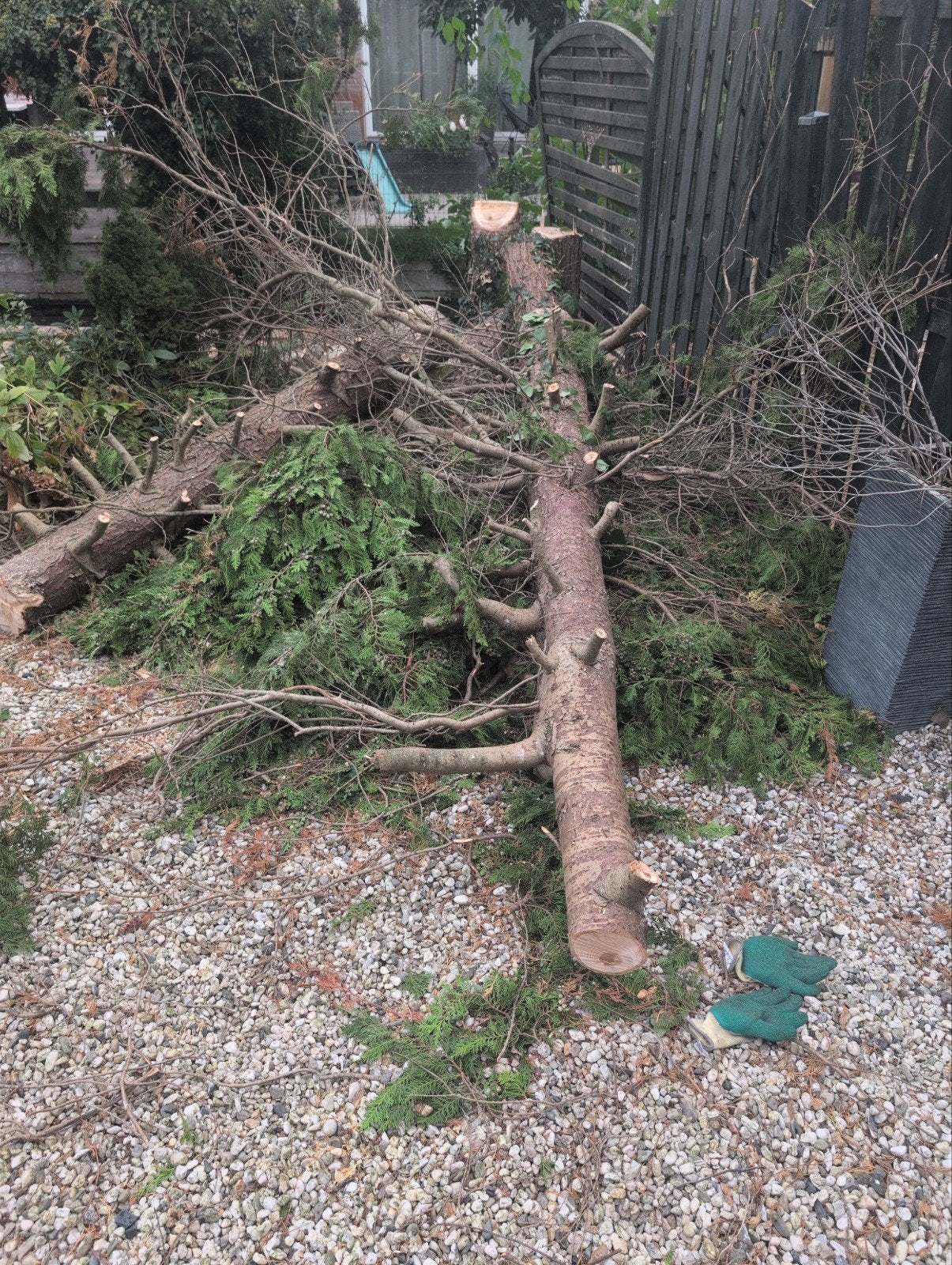 gratis openhaardhout, Ophalen of Verzenden, Volle zon, Overige soorten, 100 tot 250 cm