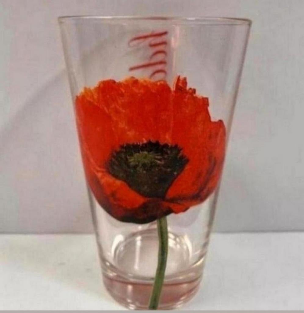 Twee VTG Cerve glazen met opdruk Klaproos/Papaver, Ophalen of Verzenden, Zo goed als nieuw, Frisdrankglas
