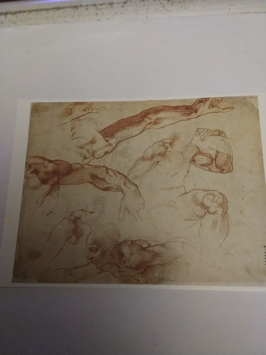 Michelangelo Buonarroti - Studies voor de Schepping van Adam, Ophalen of Verzenden, 1980 tot heden, Ongelopen, Noord-Holland