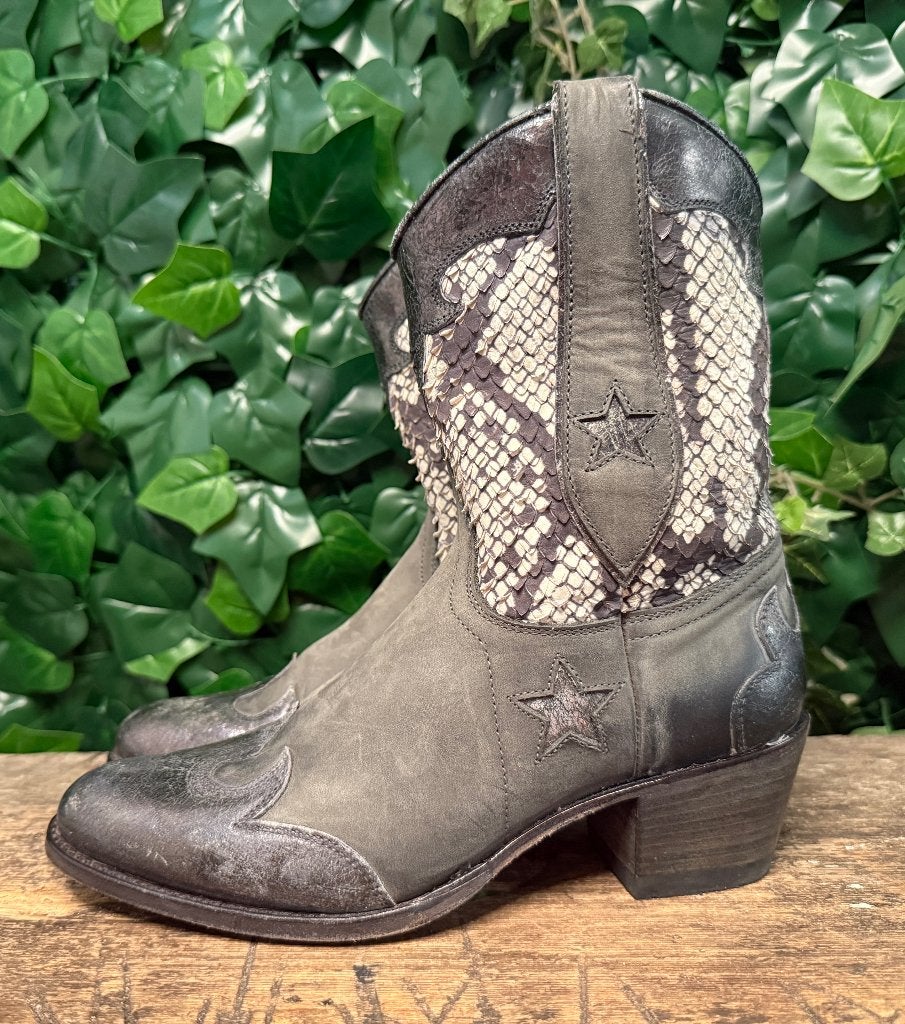 prachtige laarzen met pythonleer van Sendra maat 38, Kleding | Dames, Schoenen, Nieuw, Lage of Enkellaarzen, Grijs, Ophalen of Verzenden
