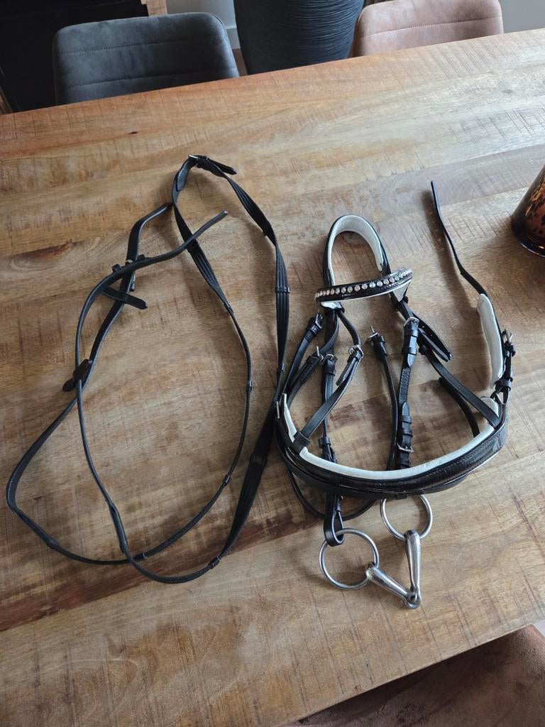 Hoofdstel met bit maat pony, Ophalen of Verzenden, Nieuw