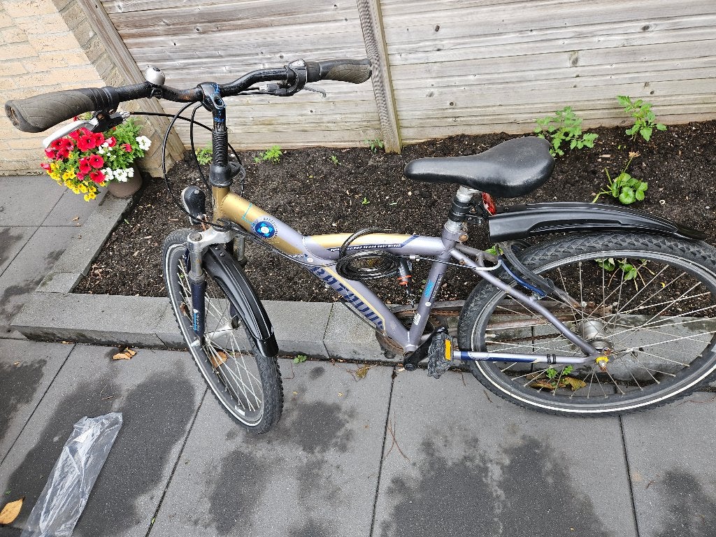 Batavus snake 24 inch, Fietsen en Brommers, Fietsen | Jongens, Ophalen, Terugtraprem, Versnellingen, Batavus