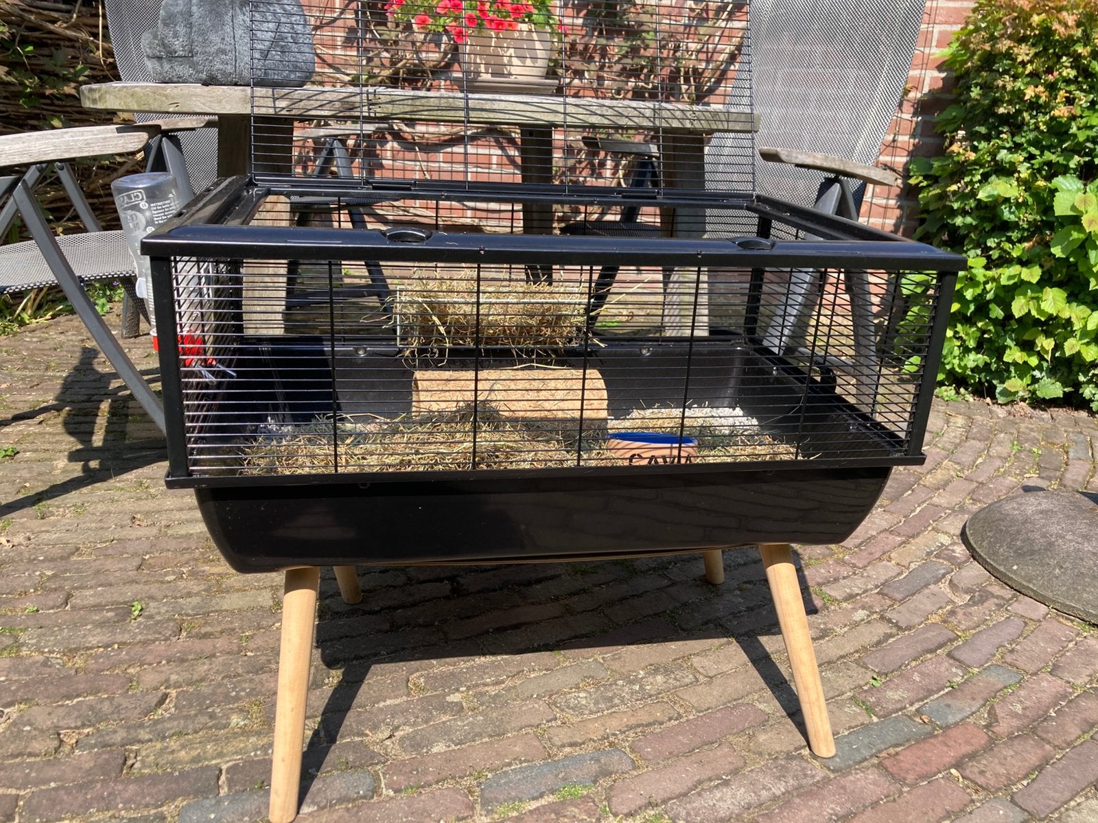 Caviakooi, Ophalen, Kooi, Gebruikt, 60 tot 90 cm