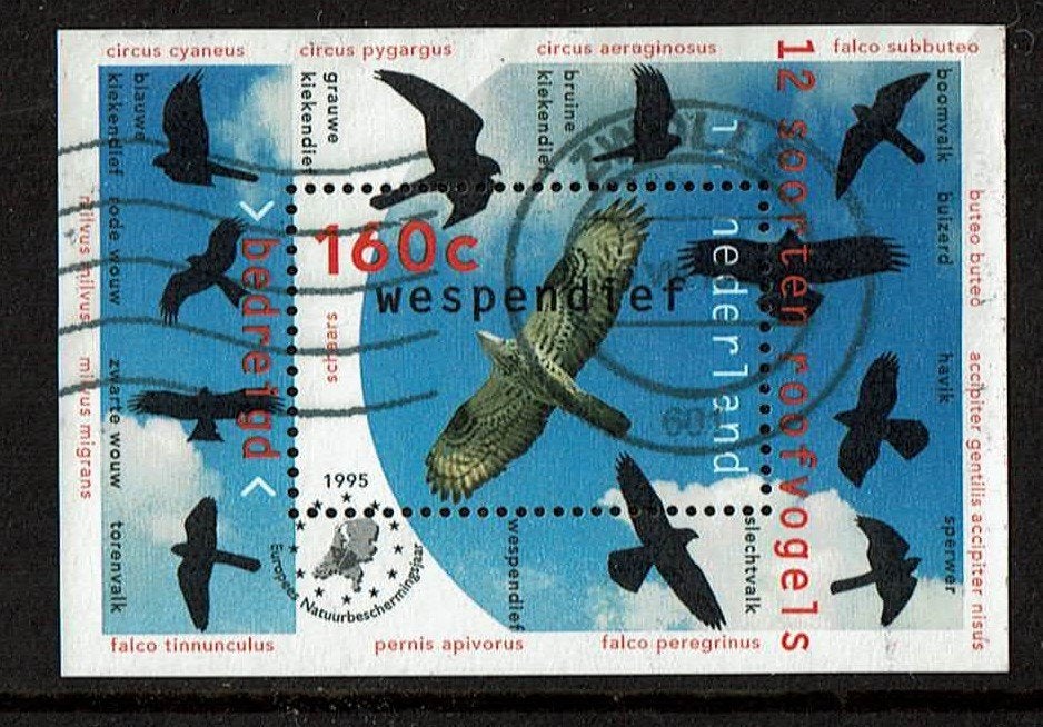 Nederland NVPH 1652 gestempeld 6, Verzenden, Na 1940, Gestempeld